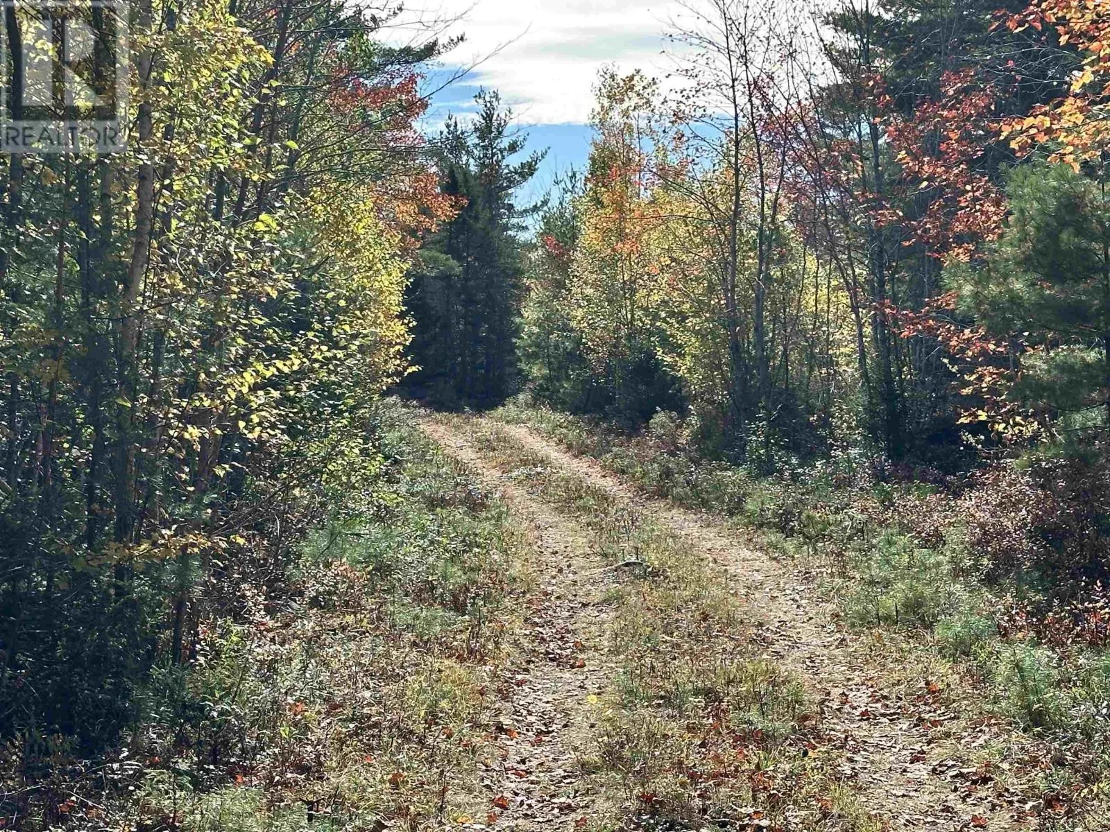 Lot 26 Medway River Road