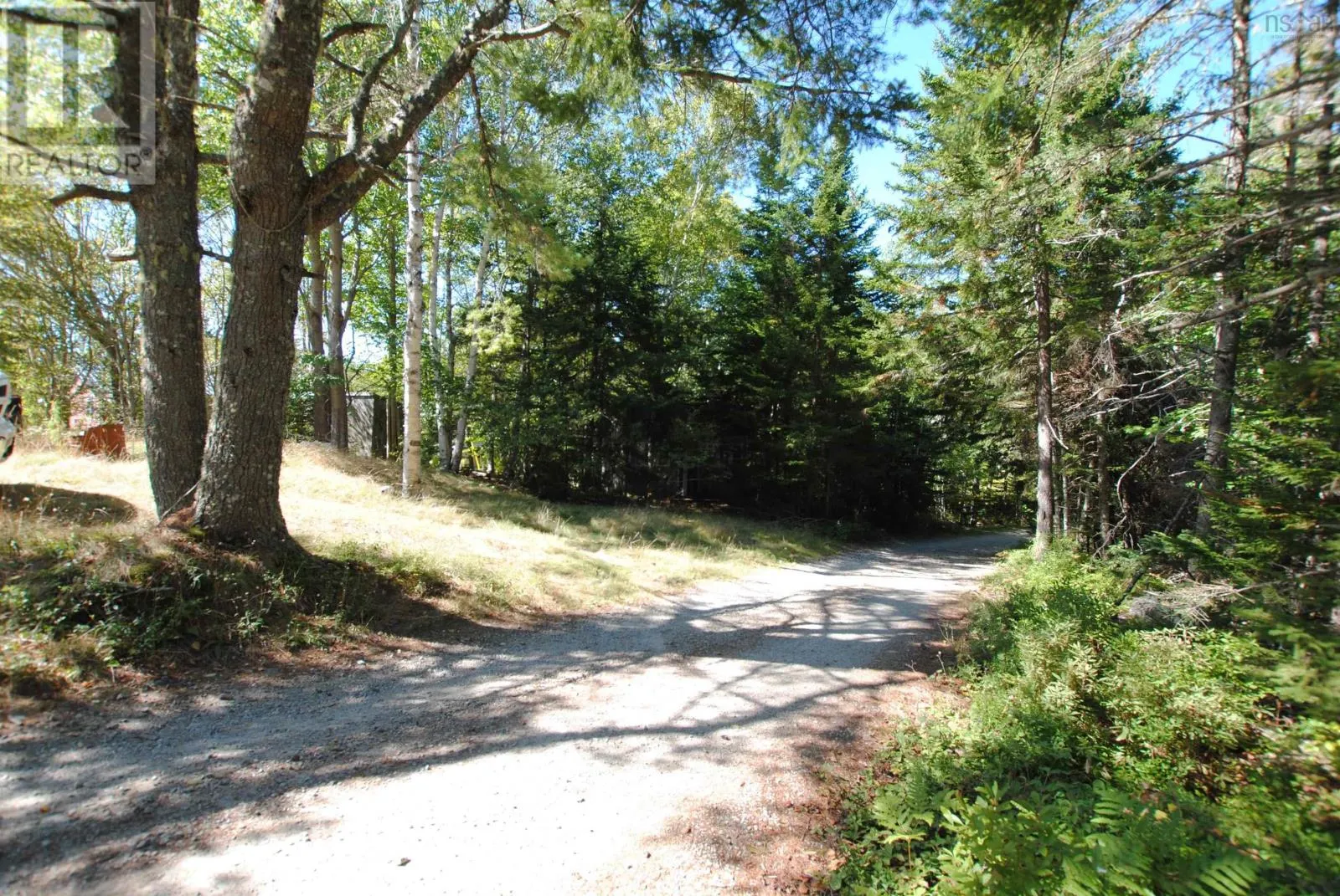 48 Homestead Road