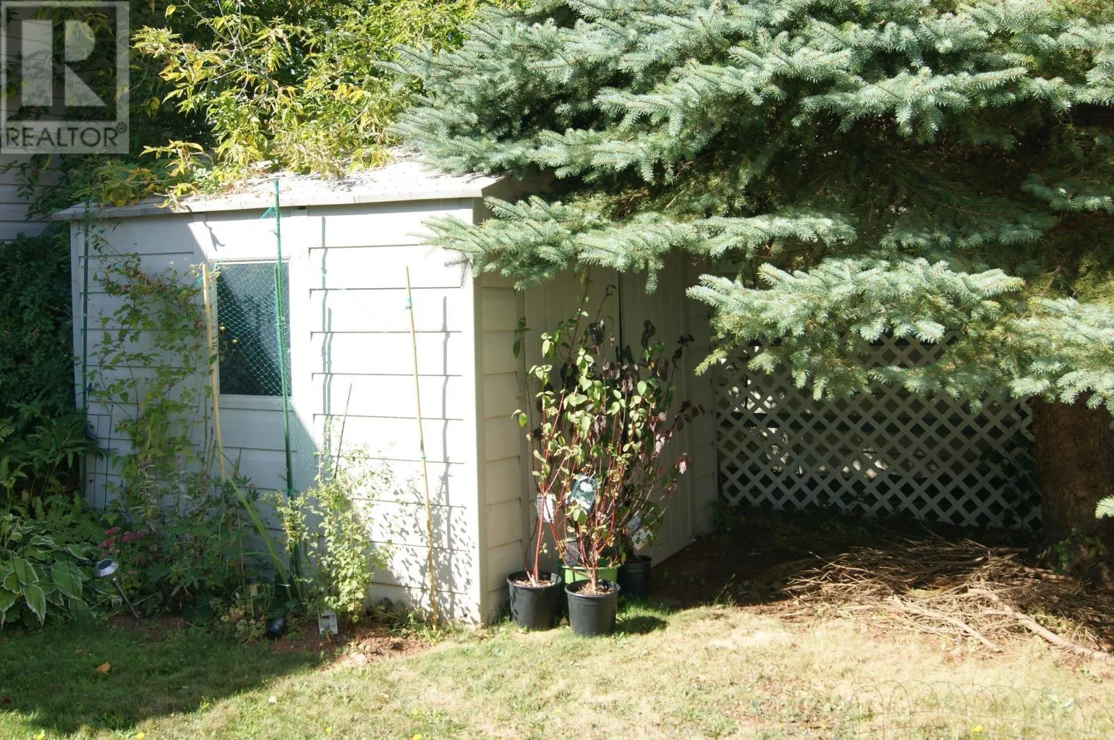 428 Palmer Street