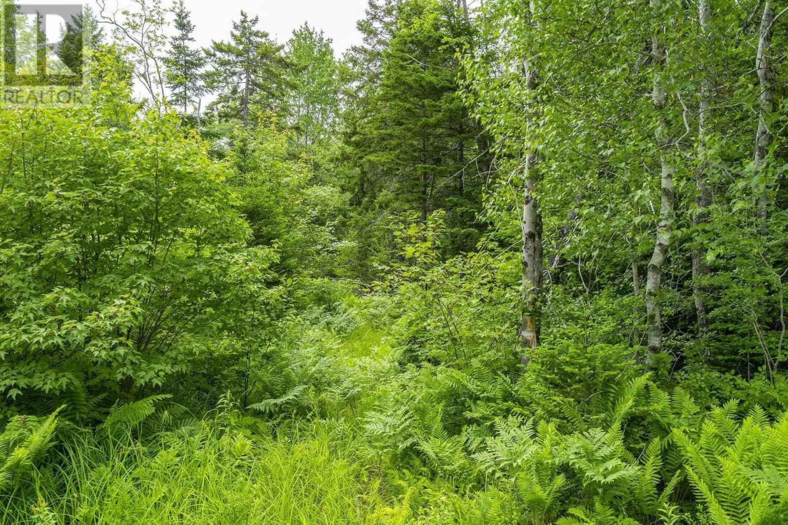 3 Lot 3 Old Yarmouth Road