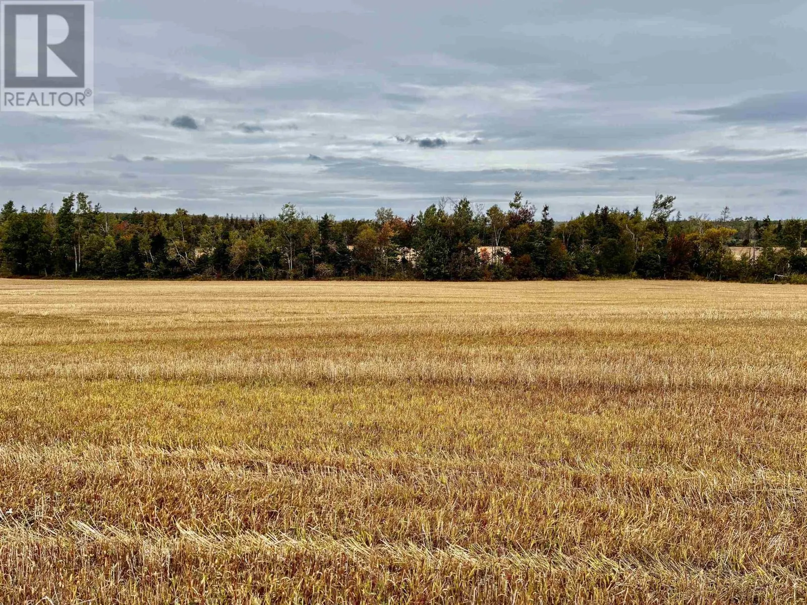 Acreage Brackley Point Road - 49 Acres