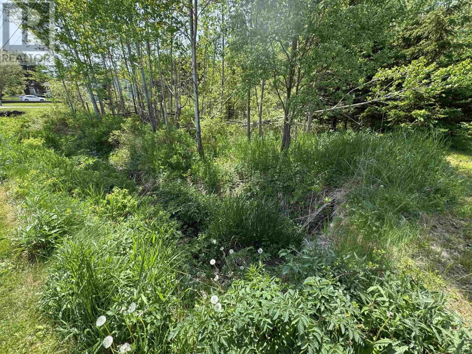 0 Maple Creek Drive
