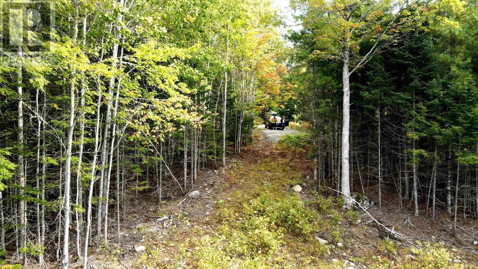 Lot 109 Blue Jay Way