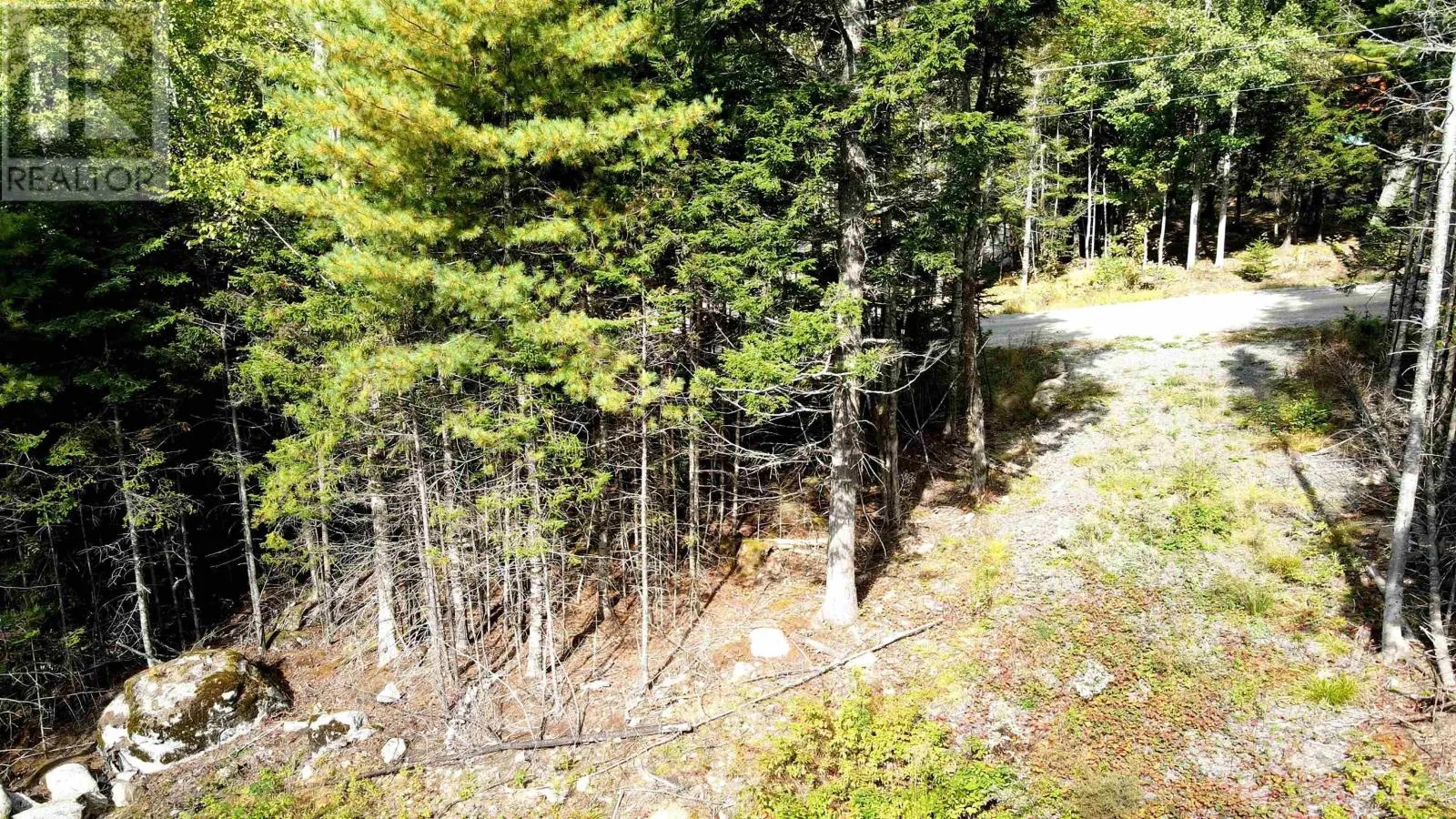 Lot 109 Blue Jay Way