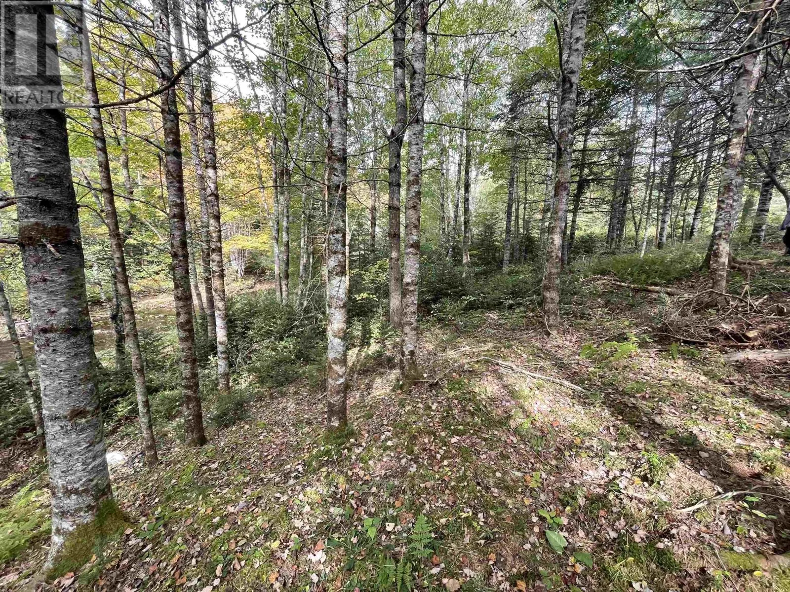 Lot Chesley Road