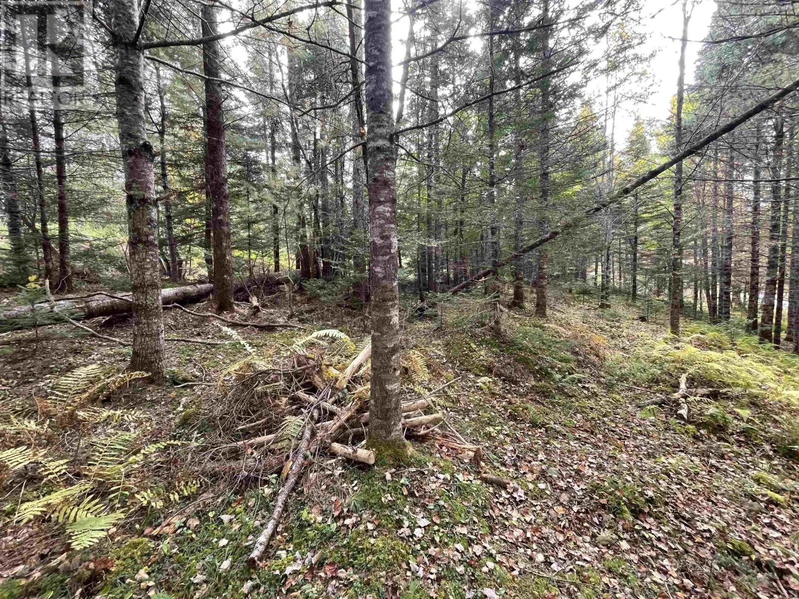 Lot Chesley Road