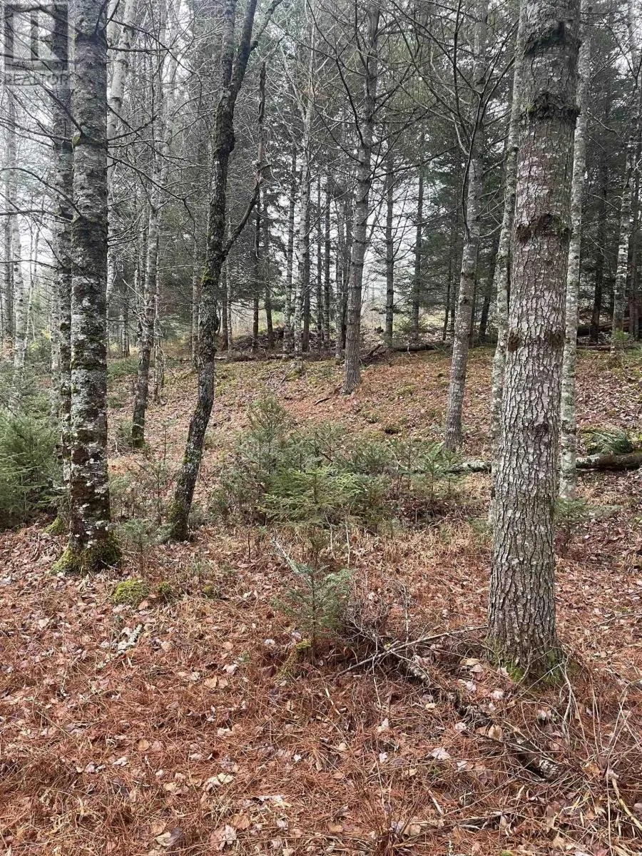 Lot Chesley Road