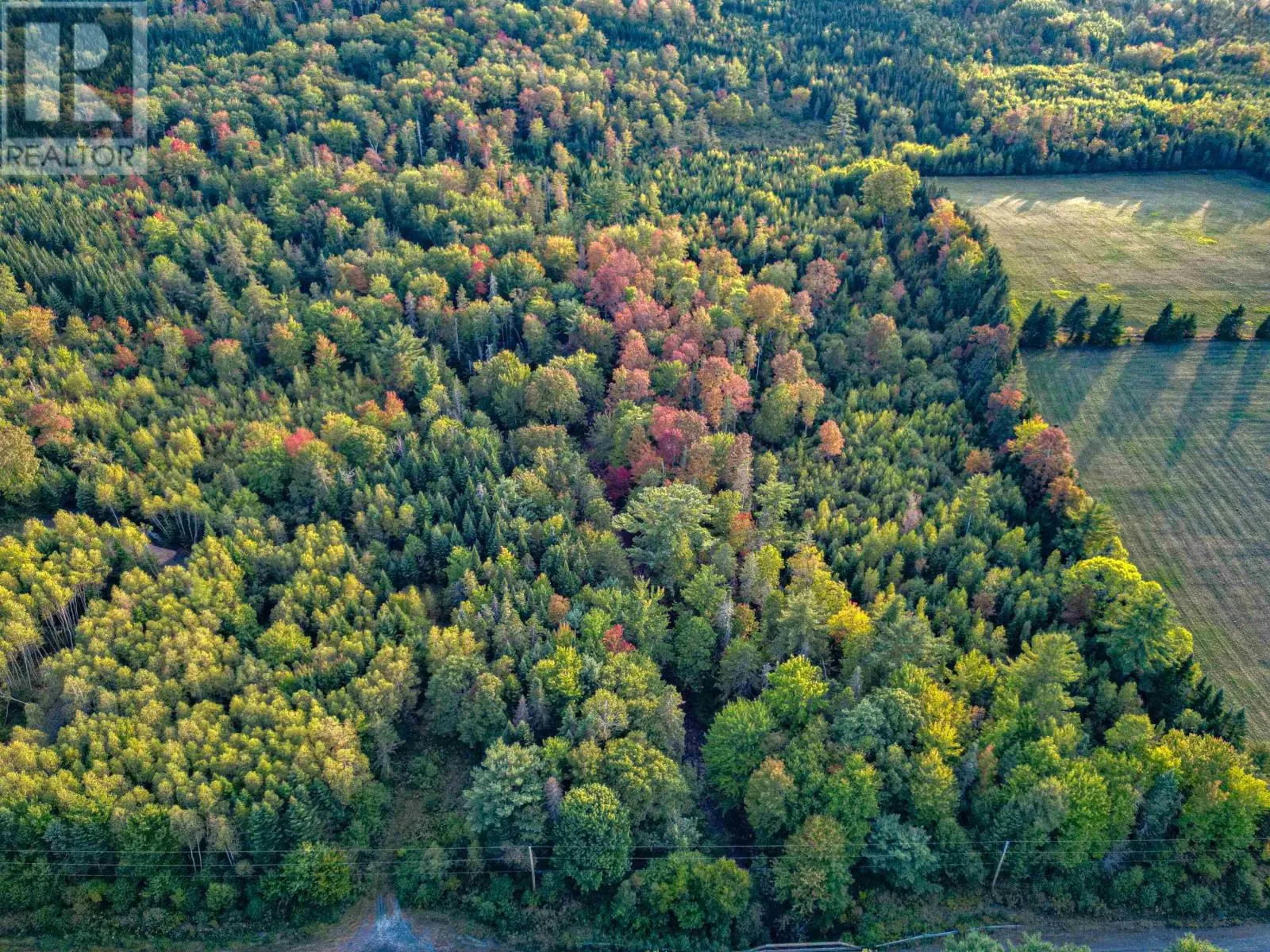 Lot Chesley Road