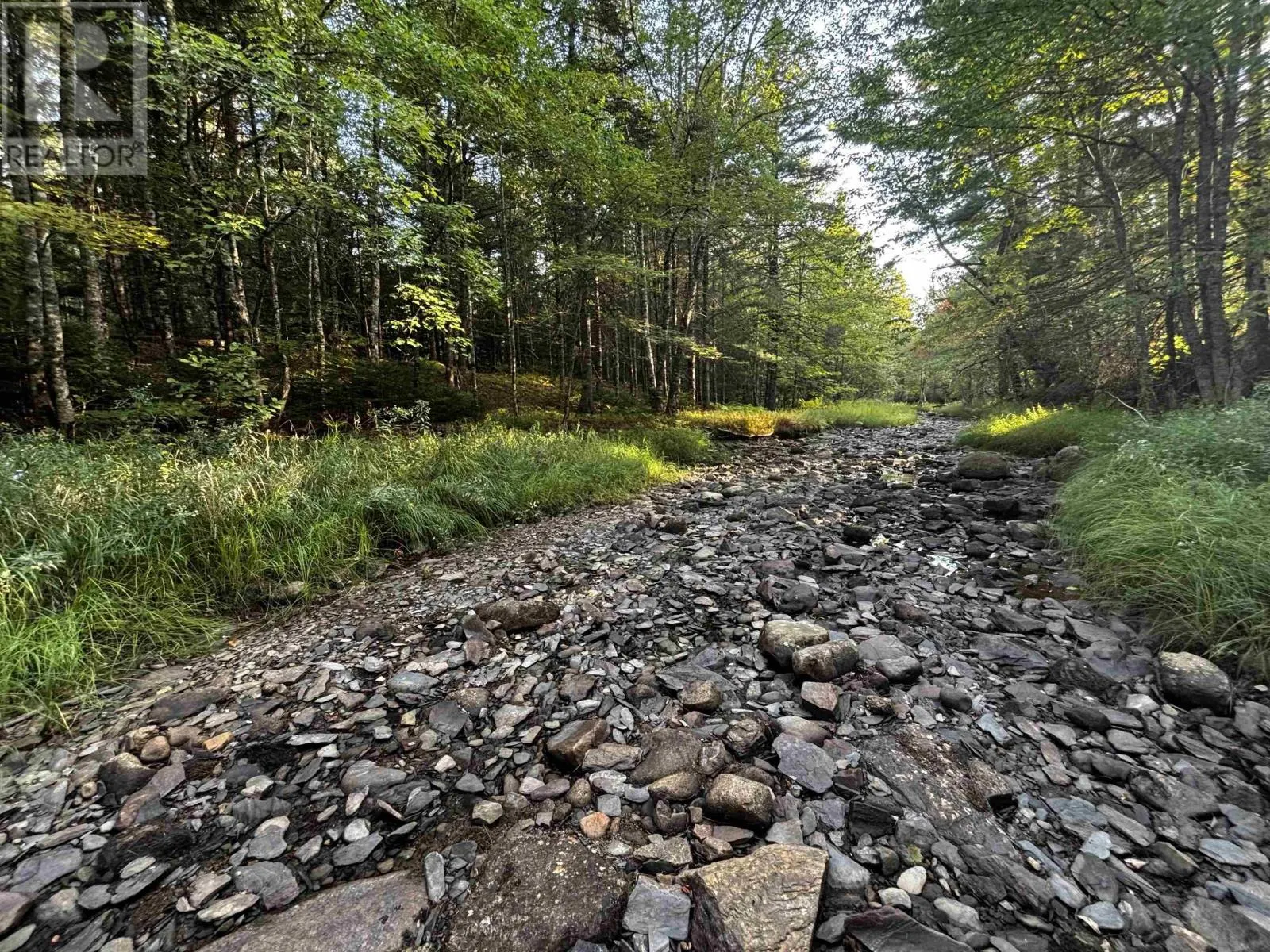 Lot Chesley Road