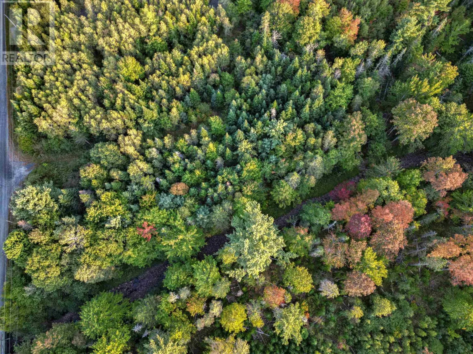 Lot Chesley Road