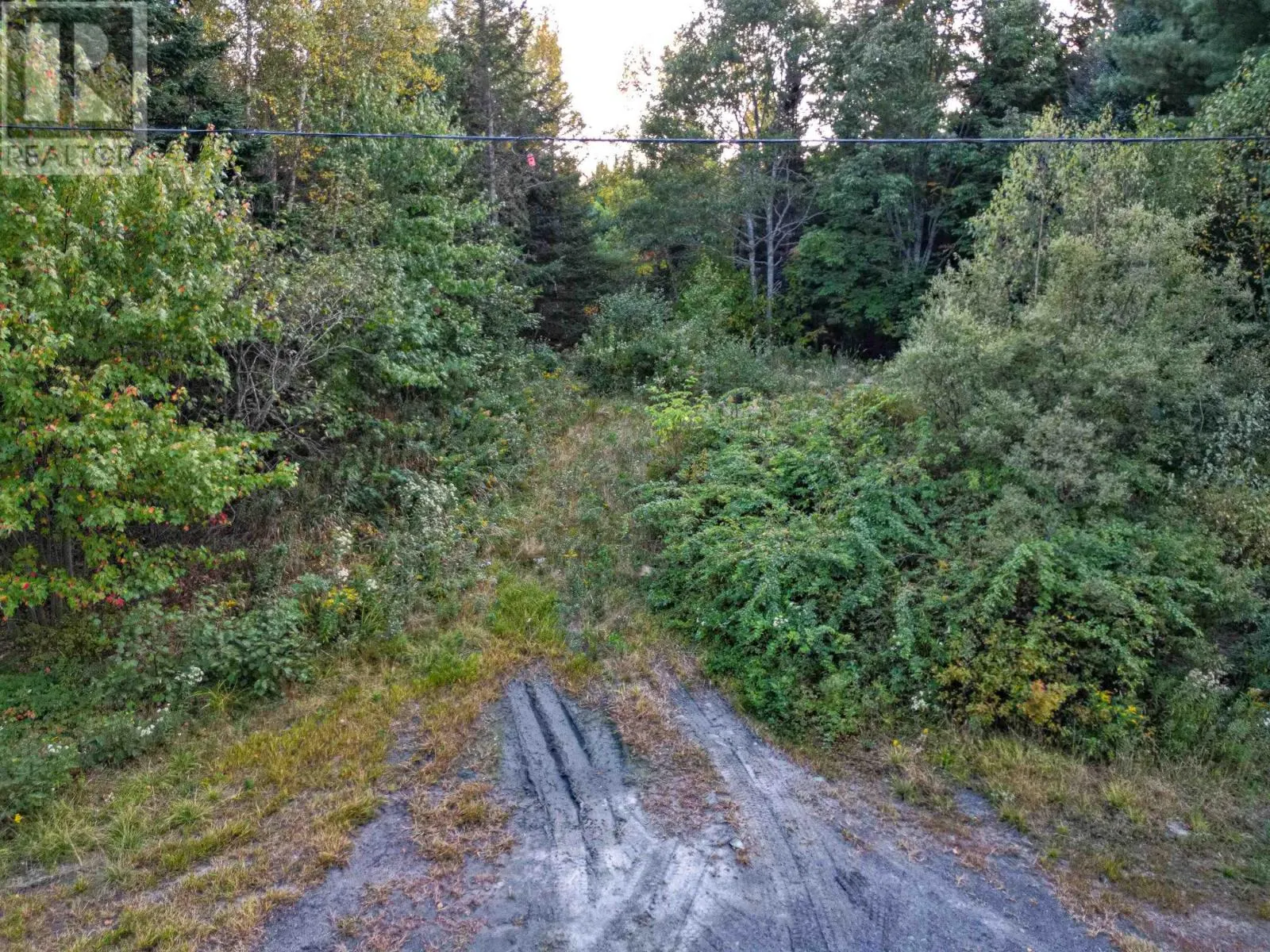 Lot Chesley Road