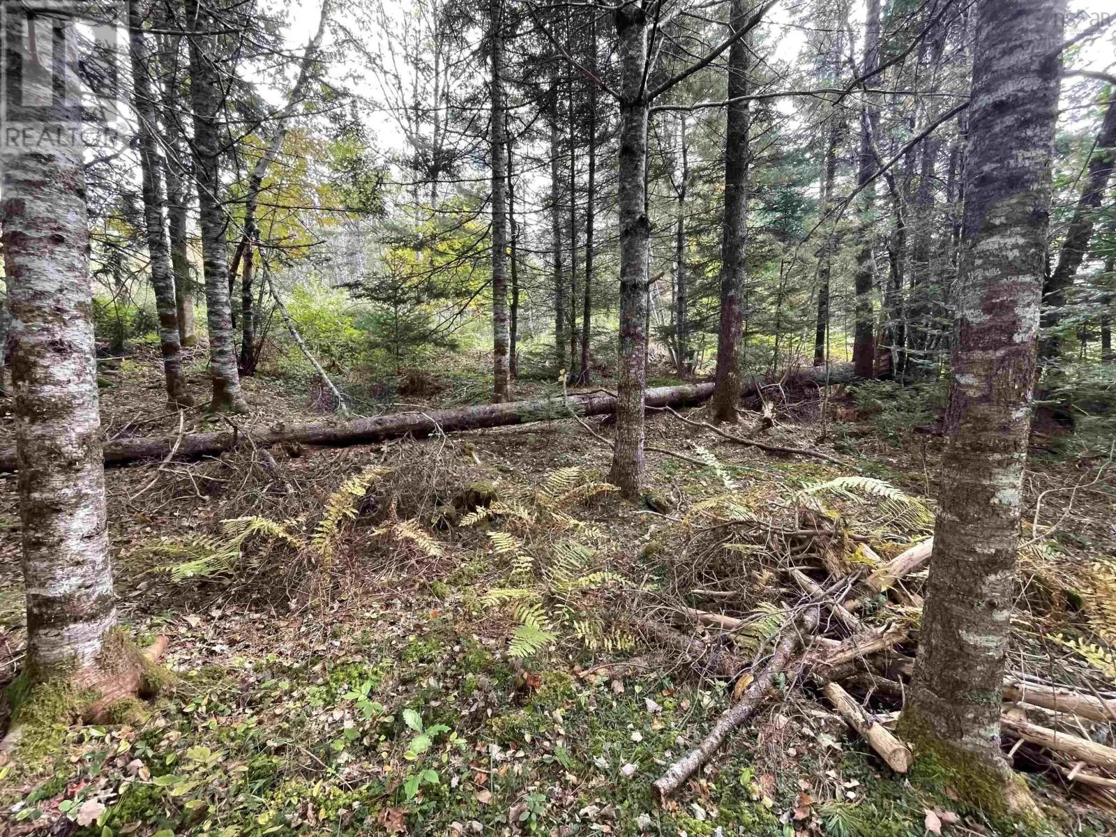 Lot Chesley Road