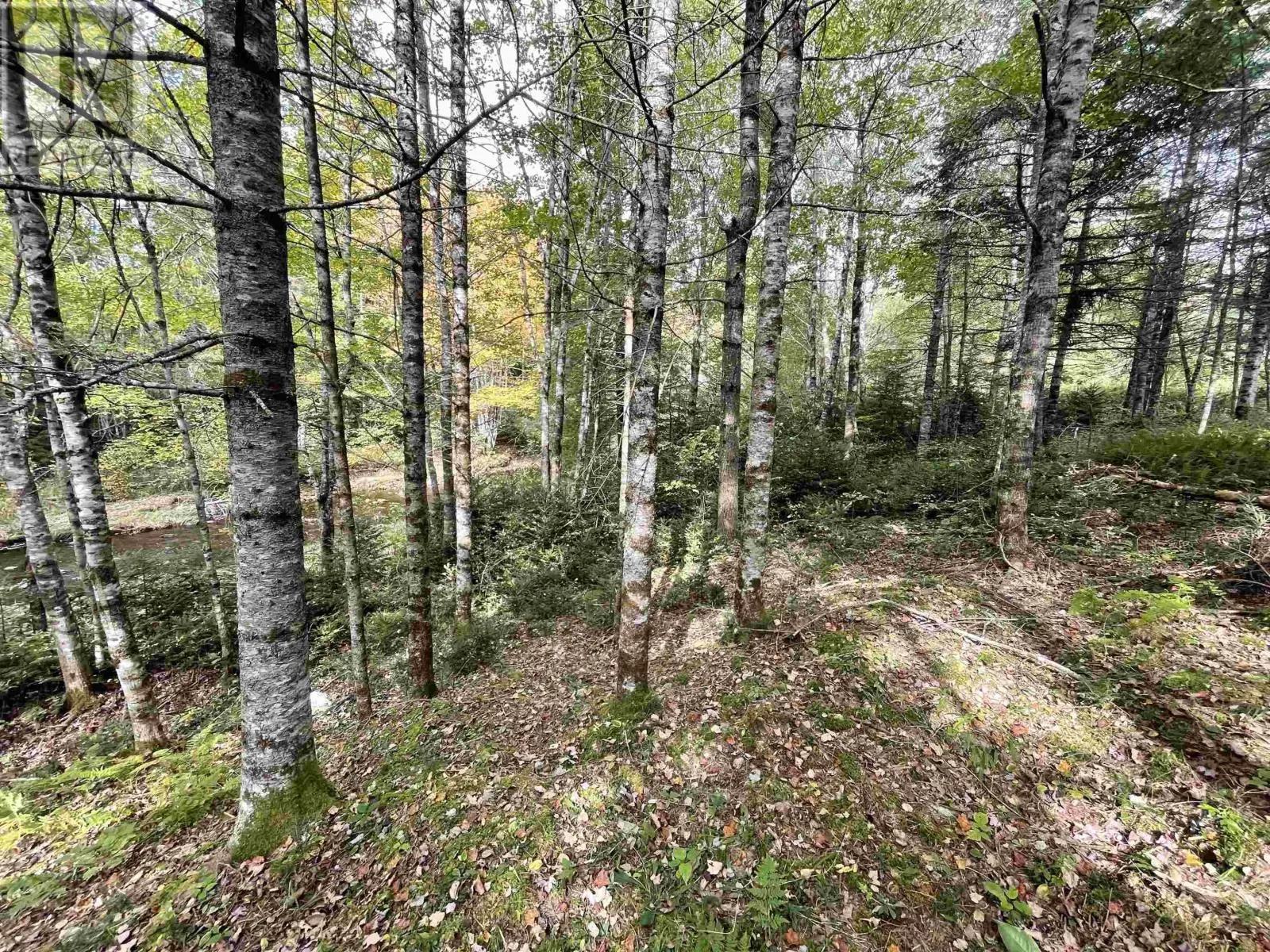 Lot Chesley Road