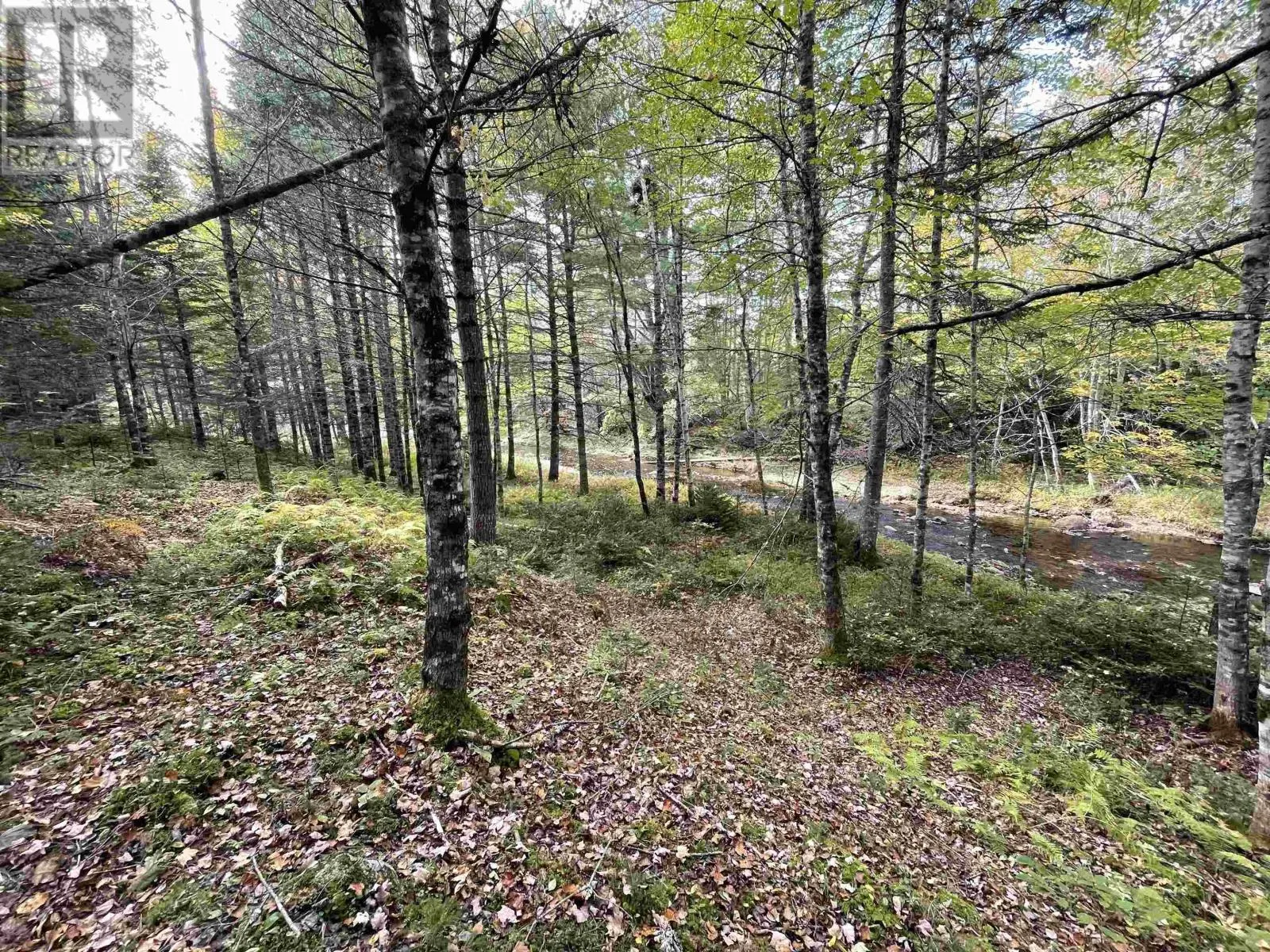 Lot Chesley Road