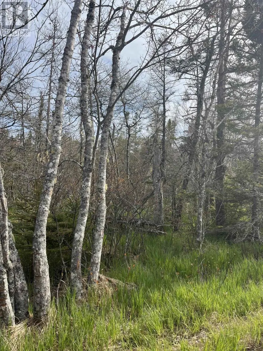 Lot 3 Old Minesville Road