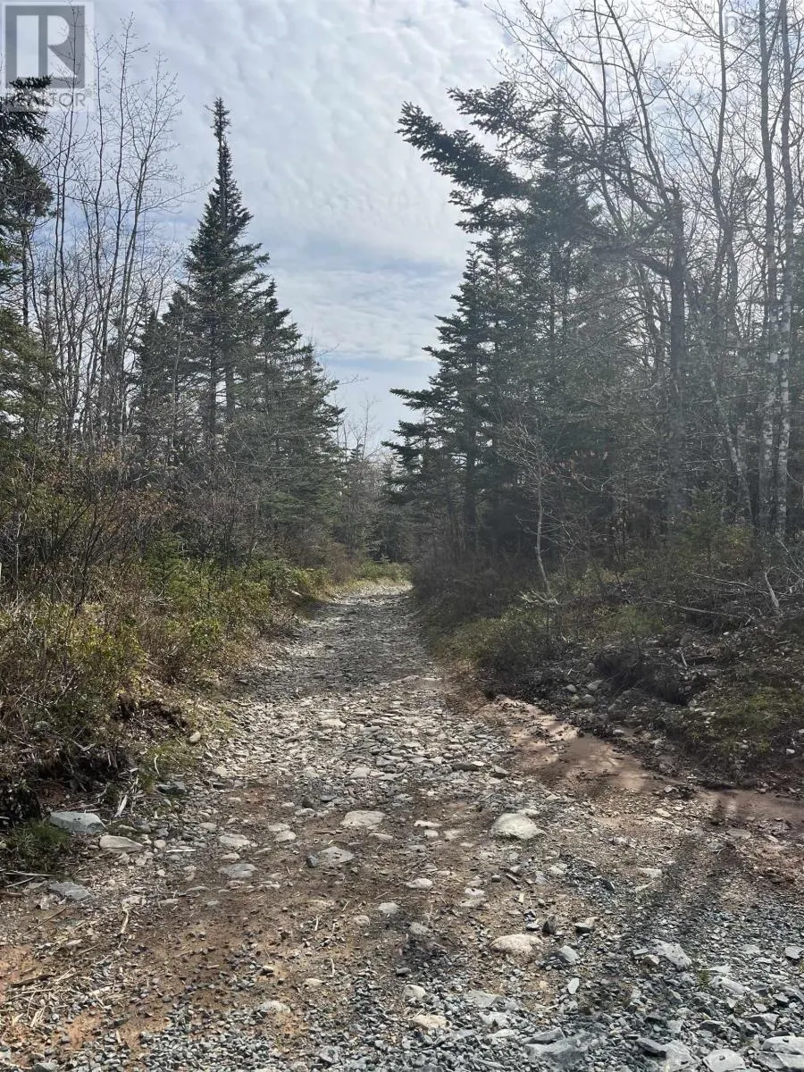Lot 3 Old Minesville Road