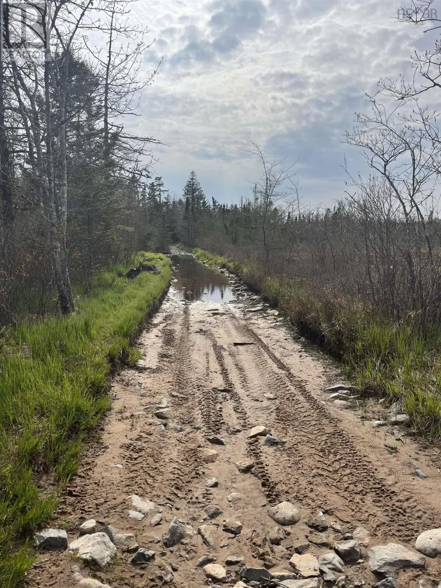 Lot 3 Old Minesville Road