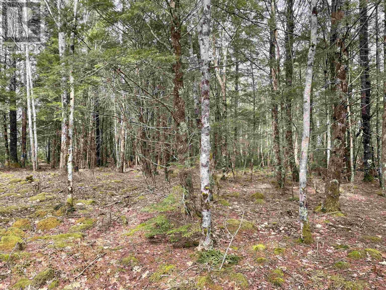Lot 5-23 Huber Road