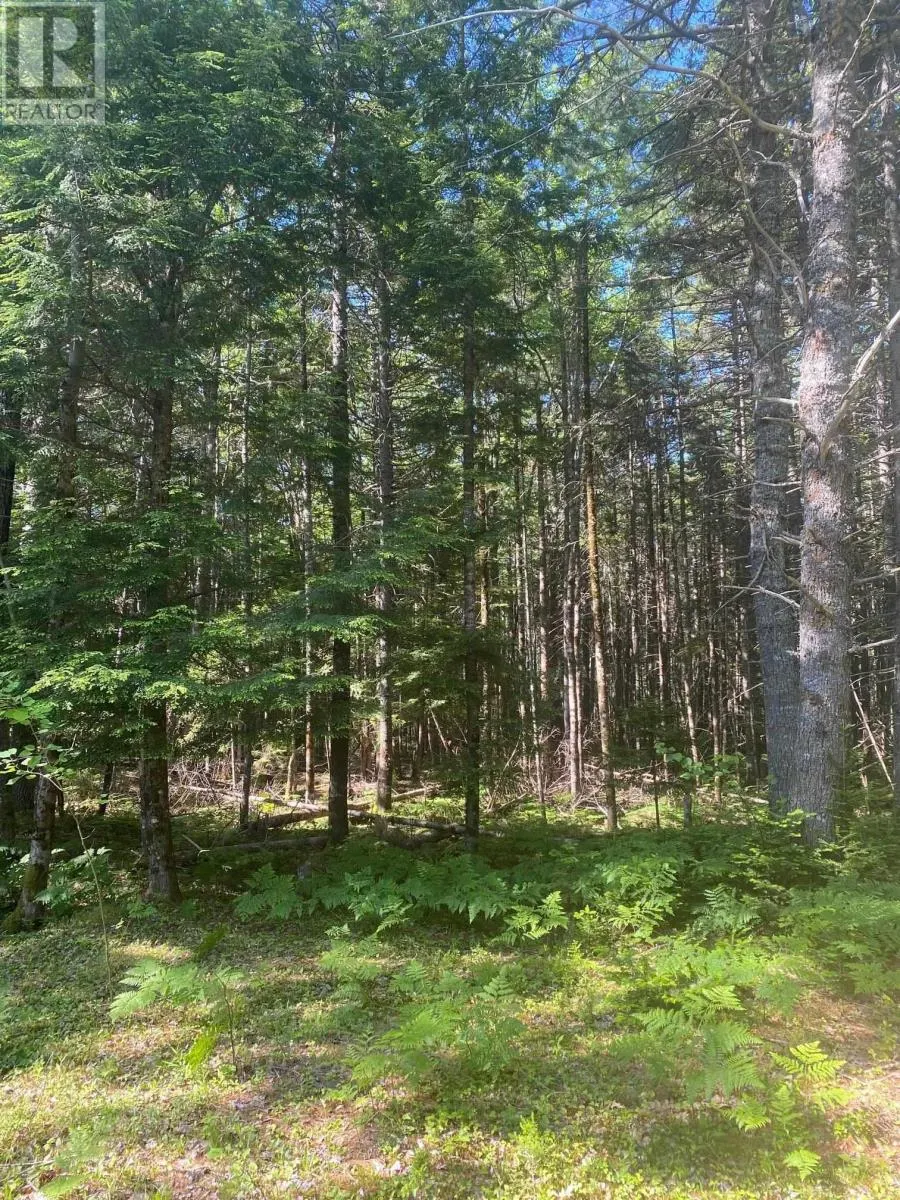 Lot PID60493061 Huey Lake Road