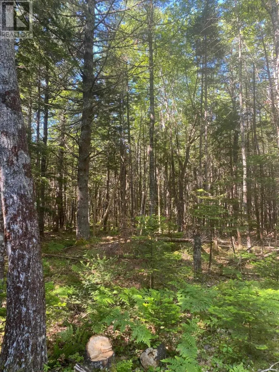 Lot PID60493061 Huey Lake Road