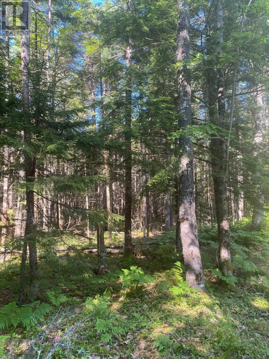 Lot PID60493061 Huey Lake Road