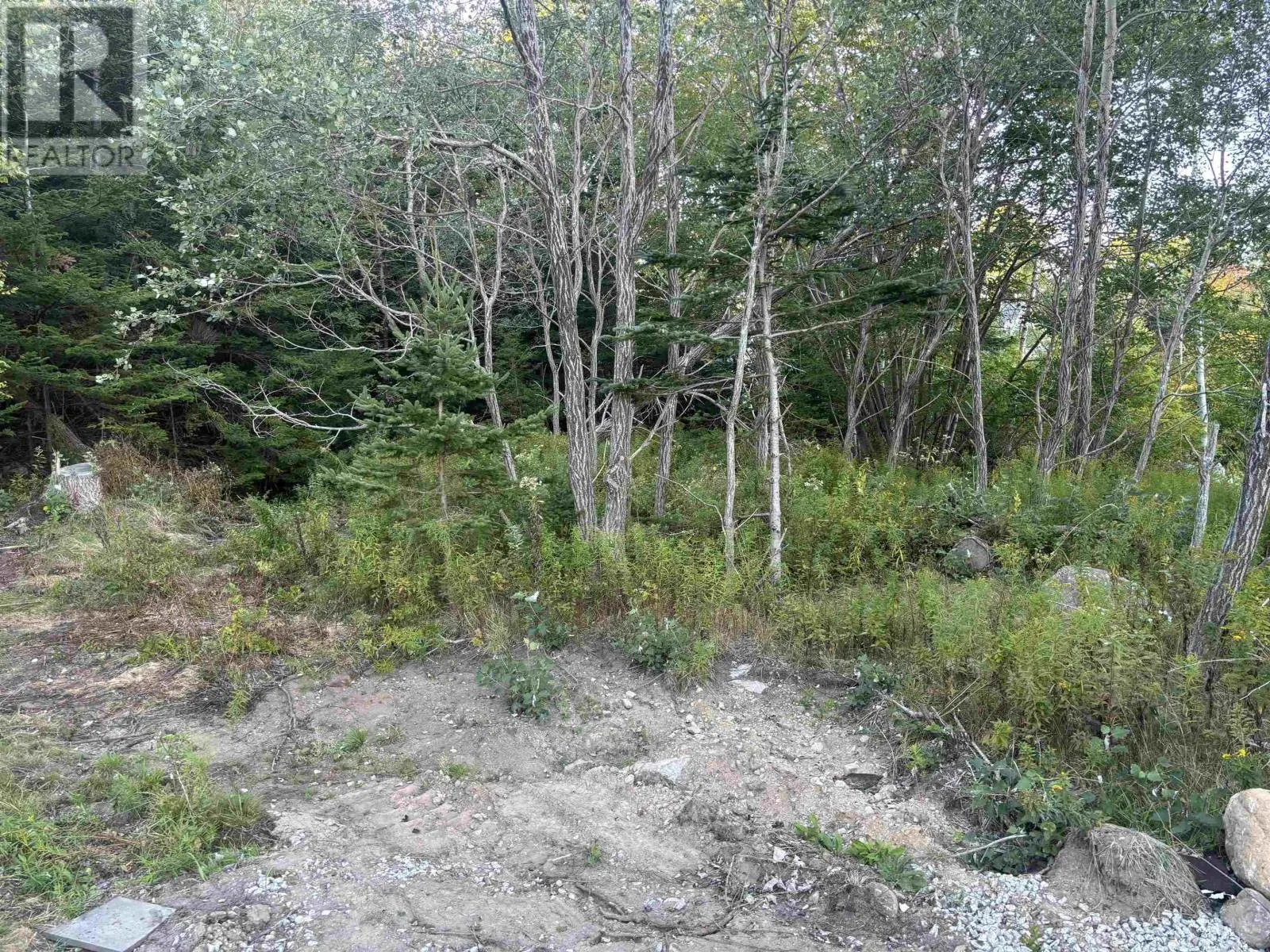 198 PUDDLE Road