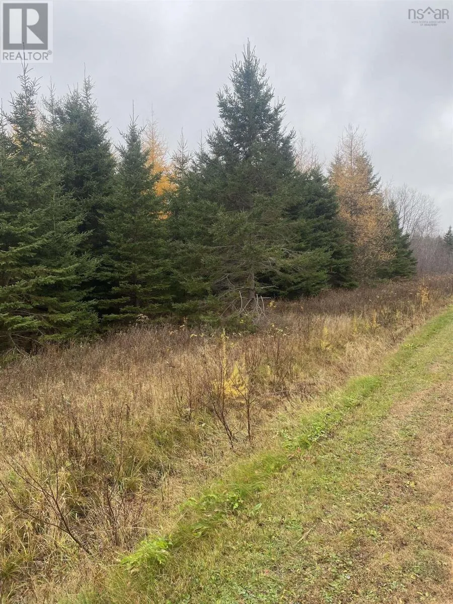 Lot 5 New Cheverie Road