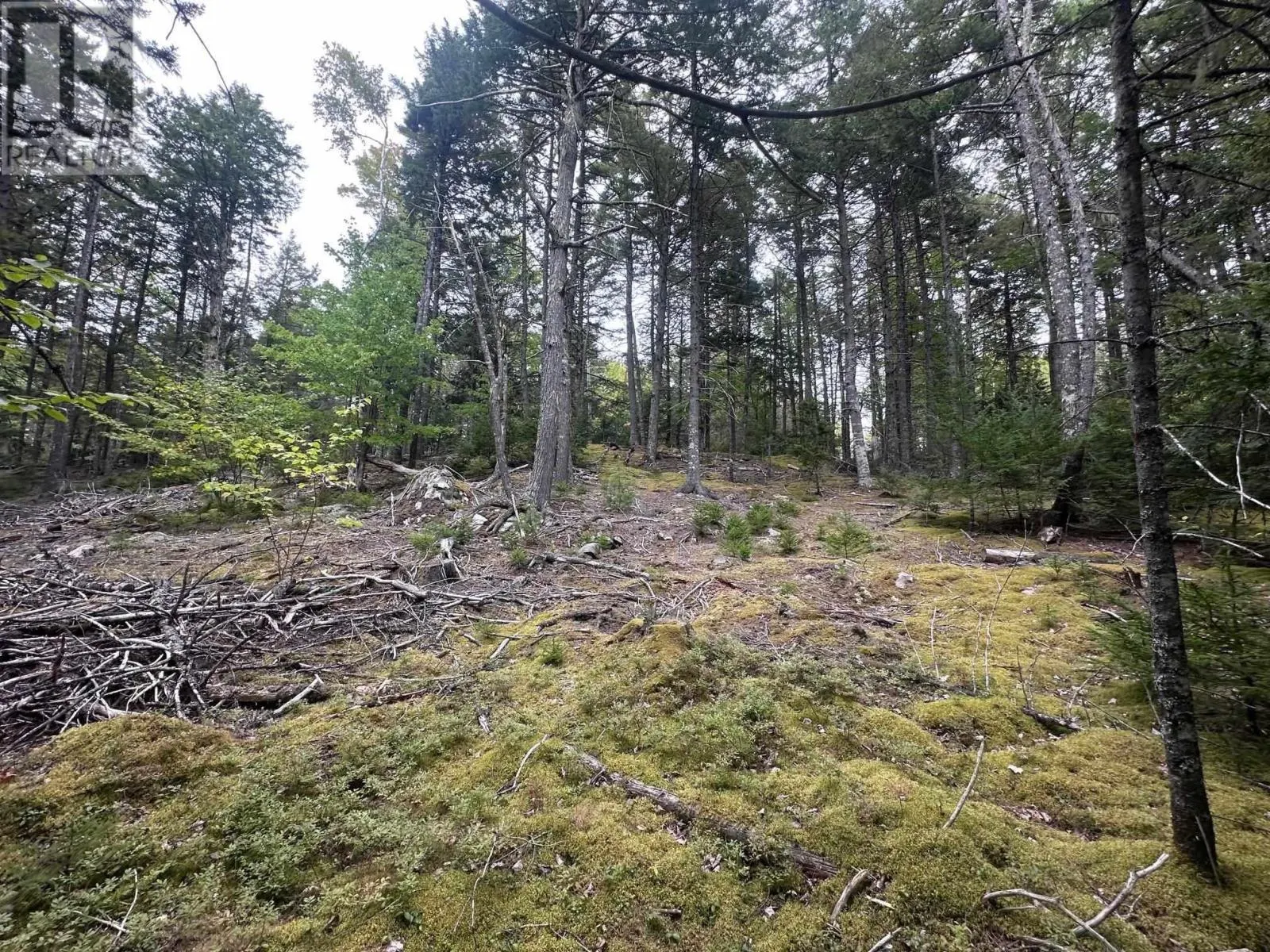 Lot 2 Narrows Road