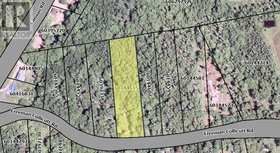 41 Freeman Collicutt Road