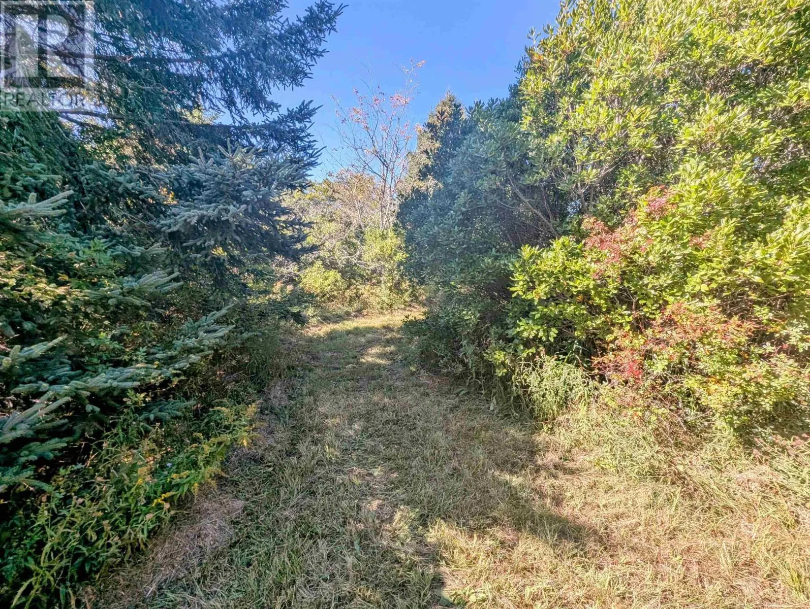 Lot 1 Avon Spirit Lane