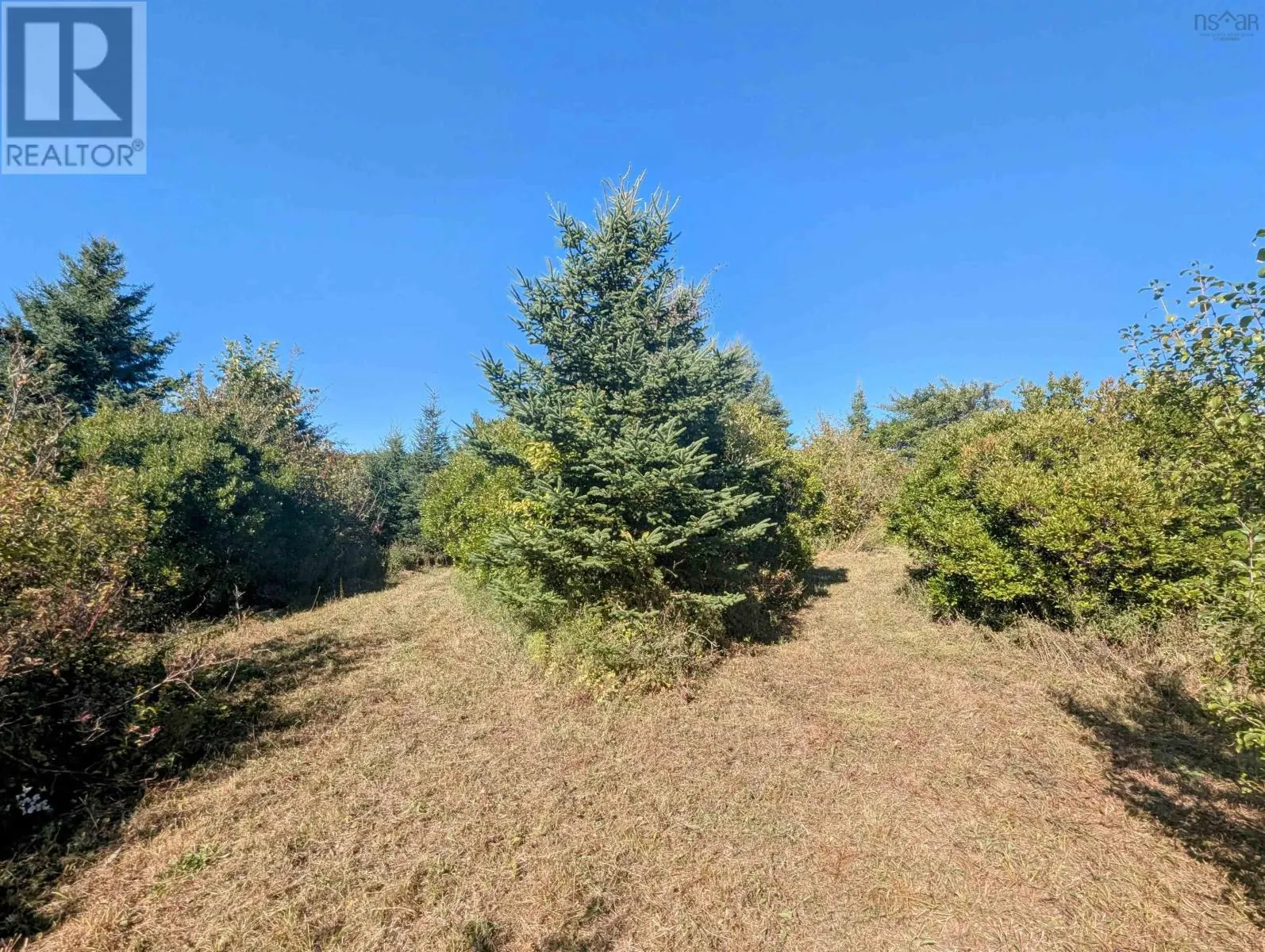 Lot 1 Avon Spirit Lane