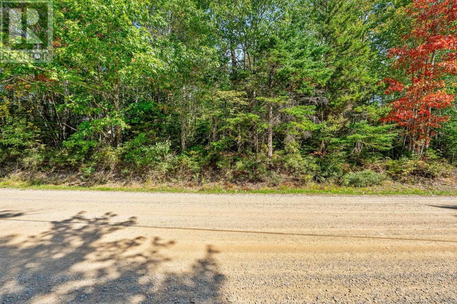 215 Perry Grant Drive