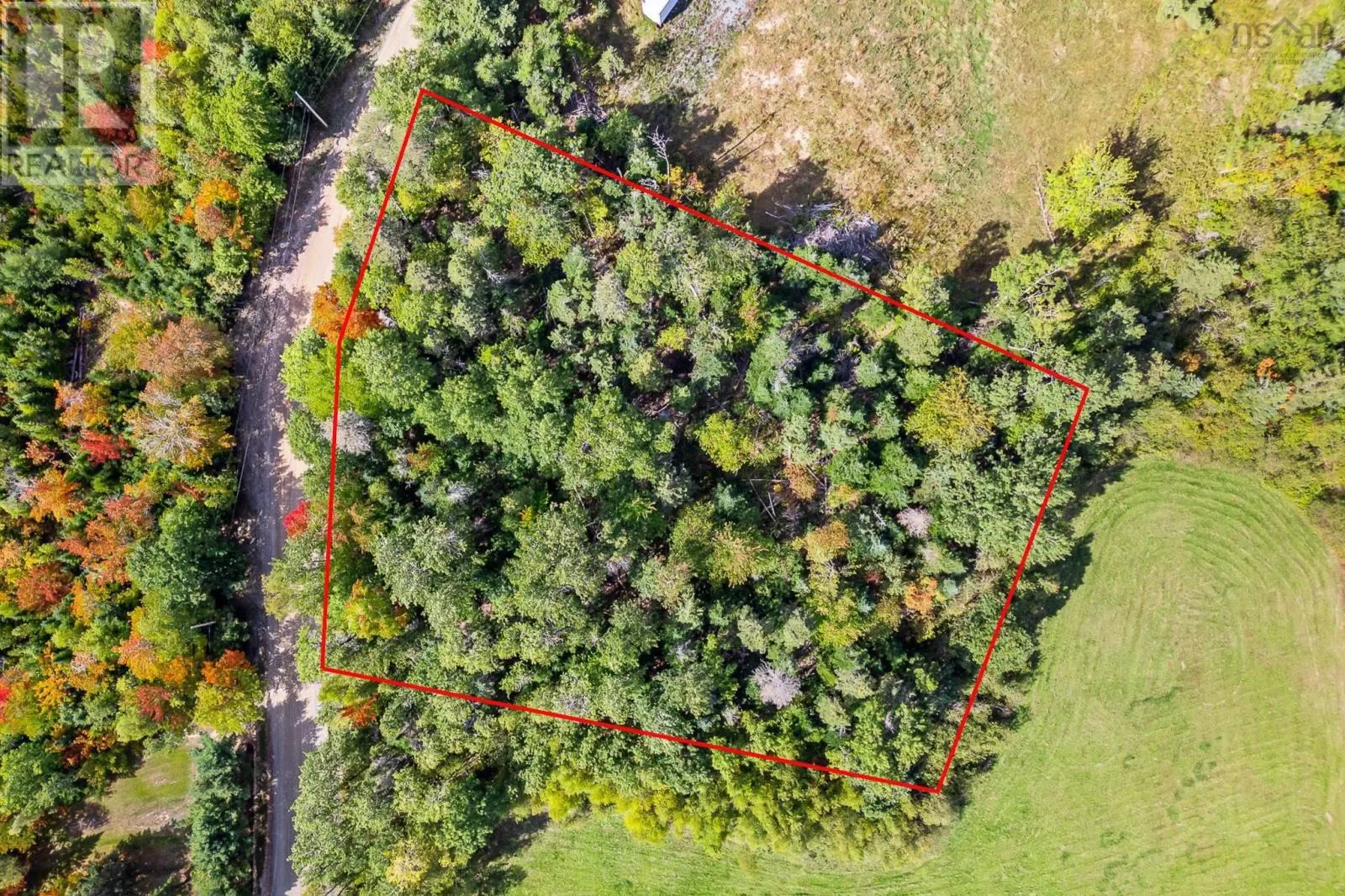 215 Perry Grant Drive