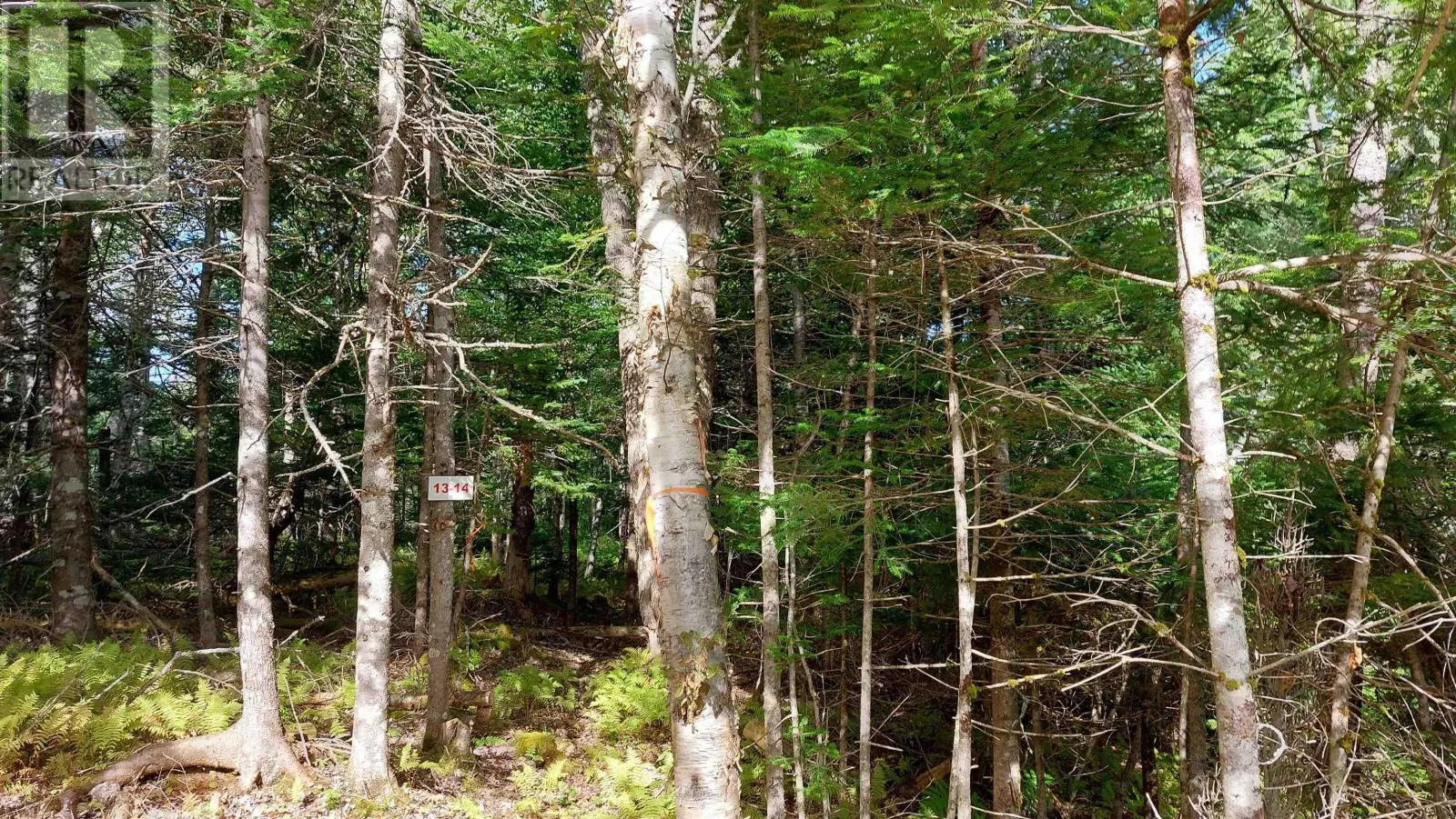 Lot 14 Golden Shore Dr