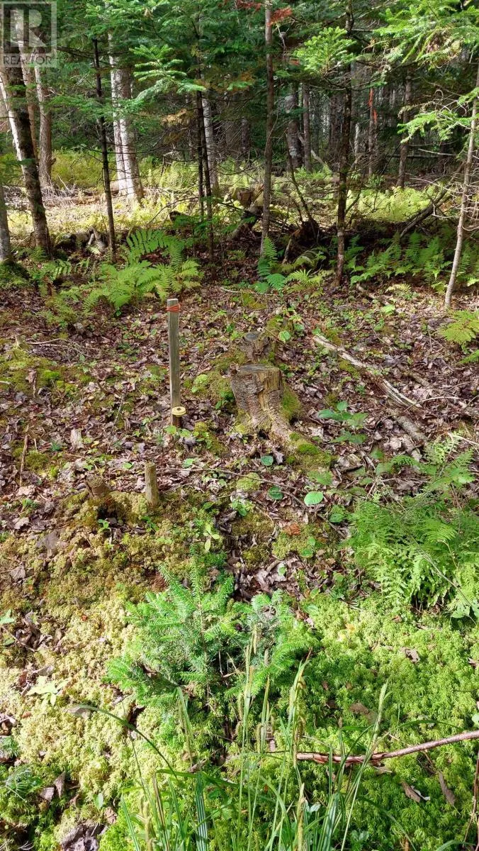 Lot 14 Golden Shore Dr