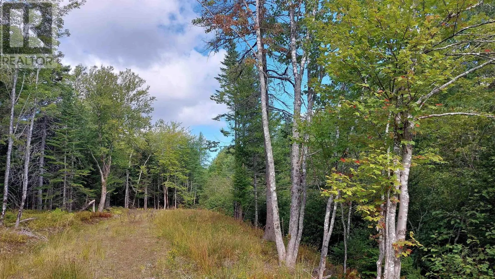 Lot 14 Golden Shore Dr