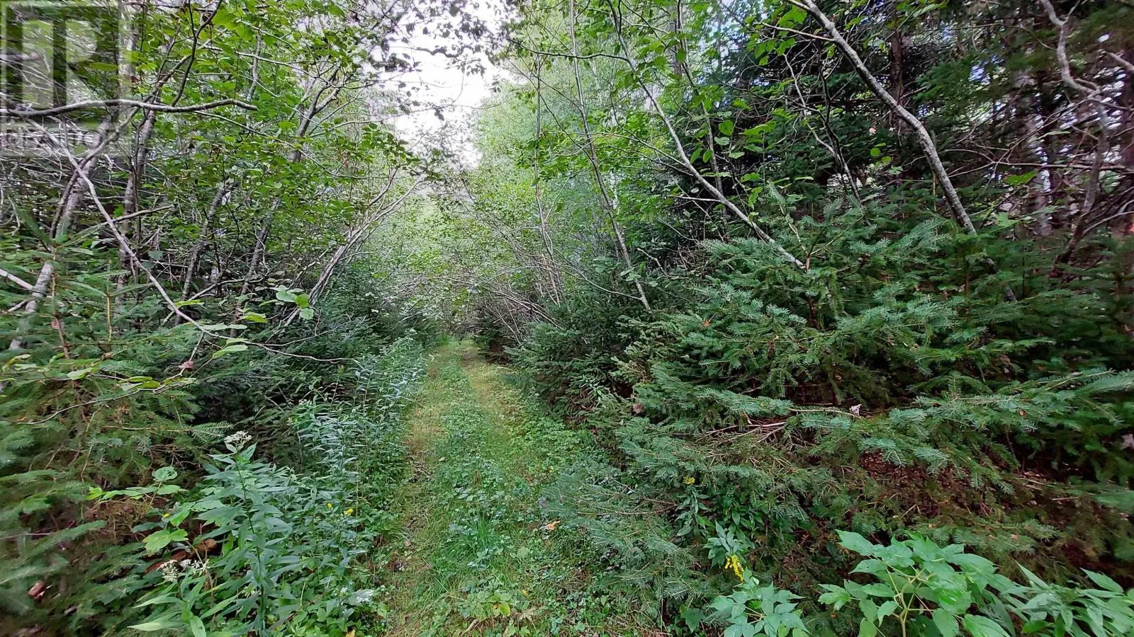 Lot 14 Golden Shore Dr