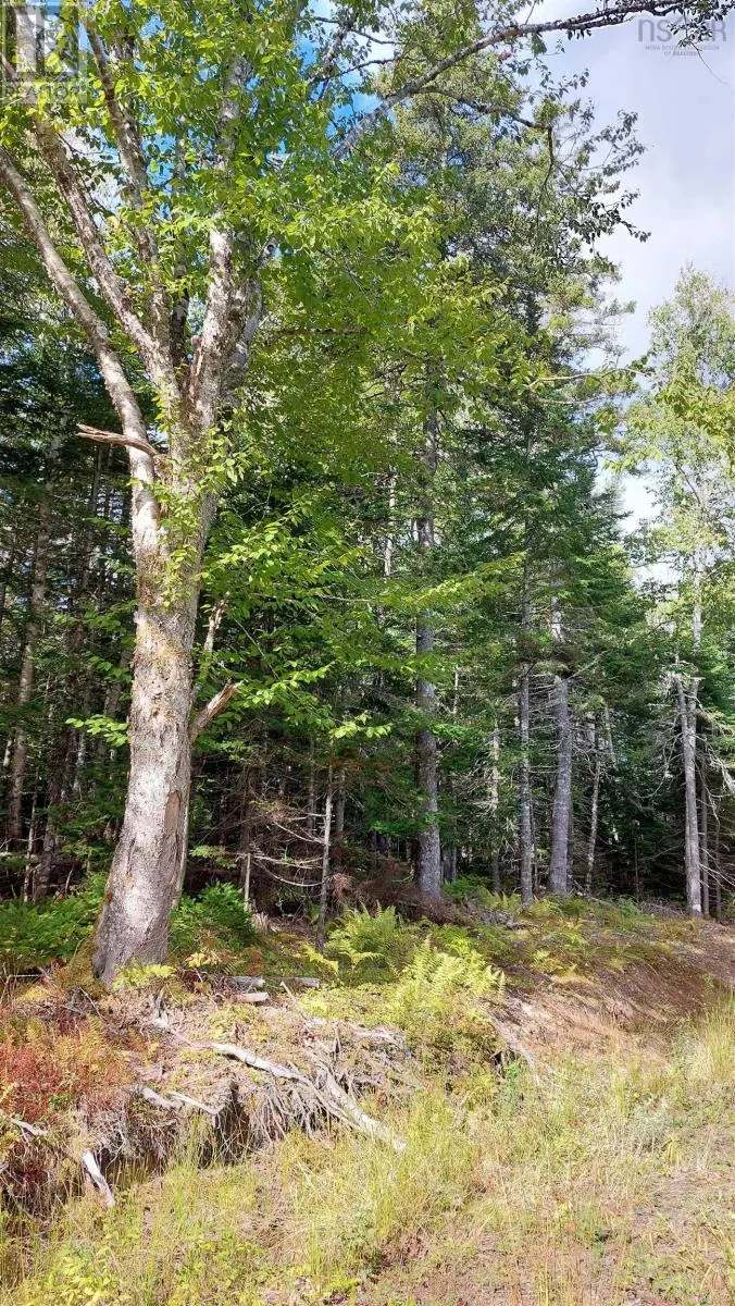 Lot 14 Golden Shore Dr