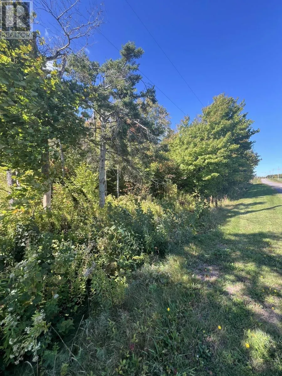 Lot 1479 North Royalty Road