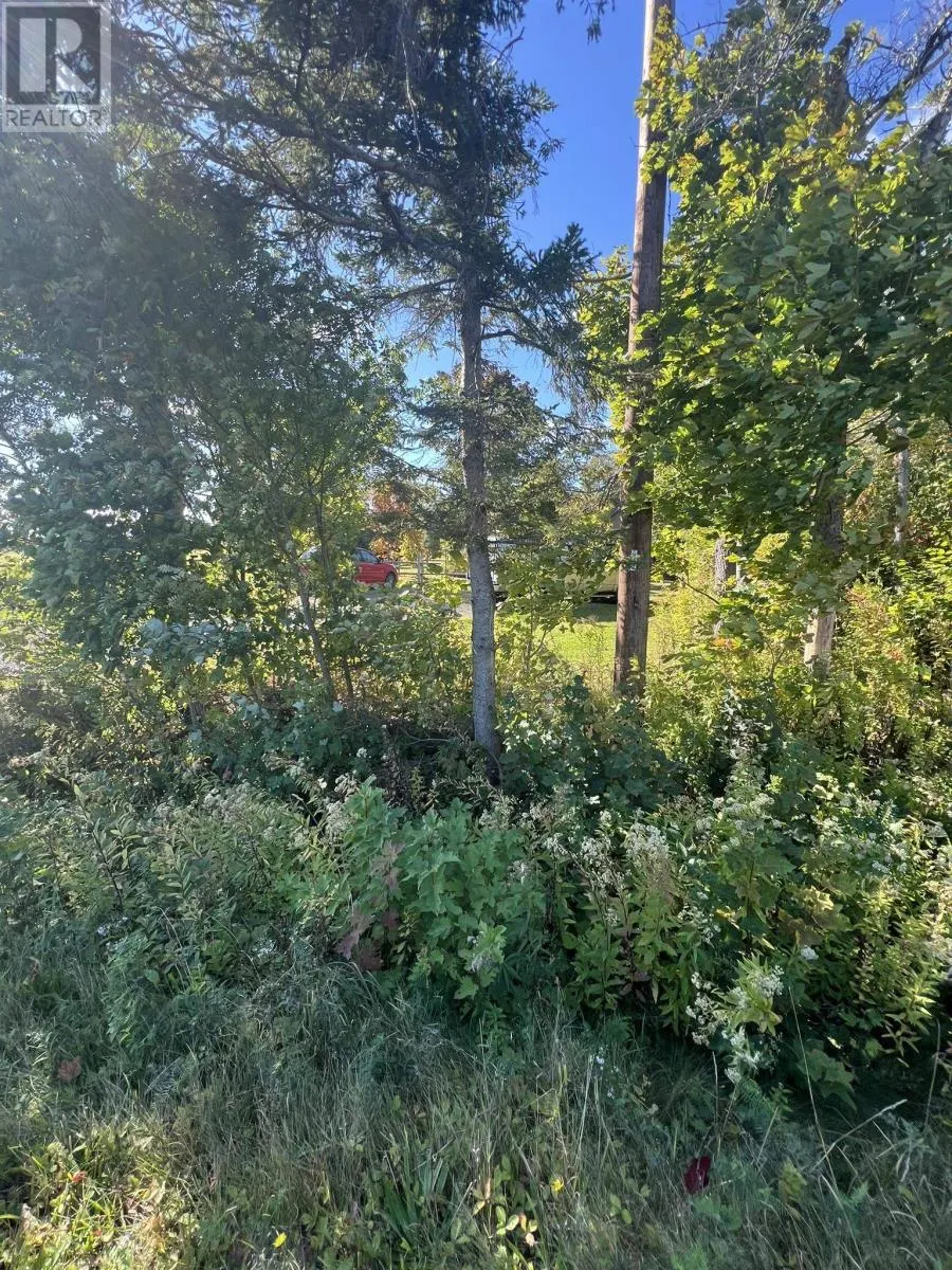 Lot 1479 North Royalty Road
