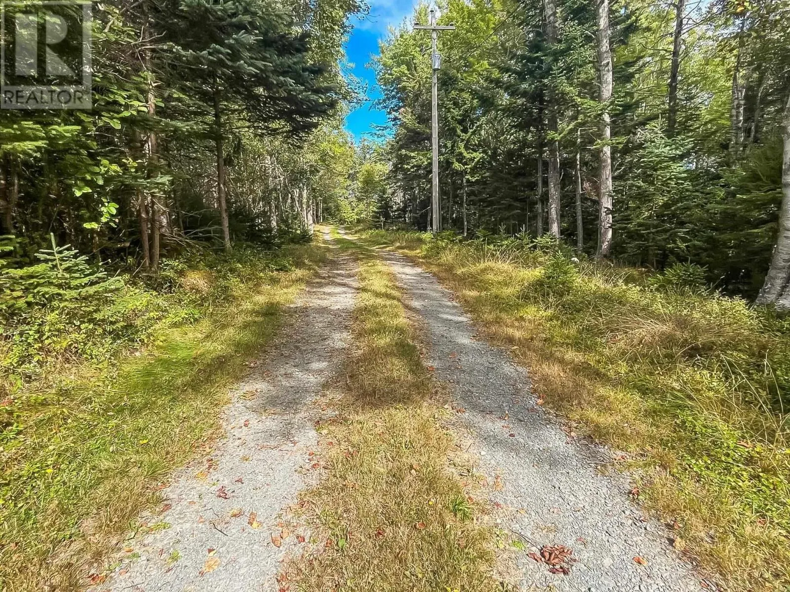 9067 Highway 331