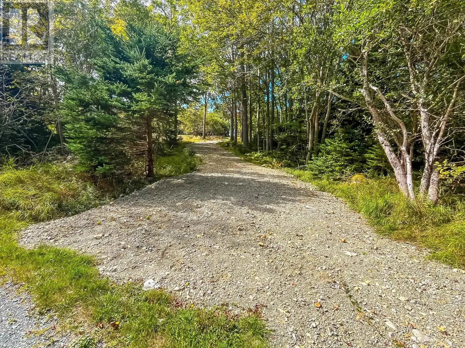 9067 Highway 331
