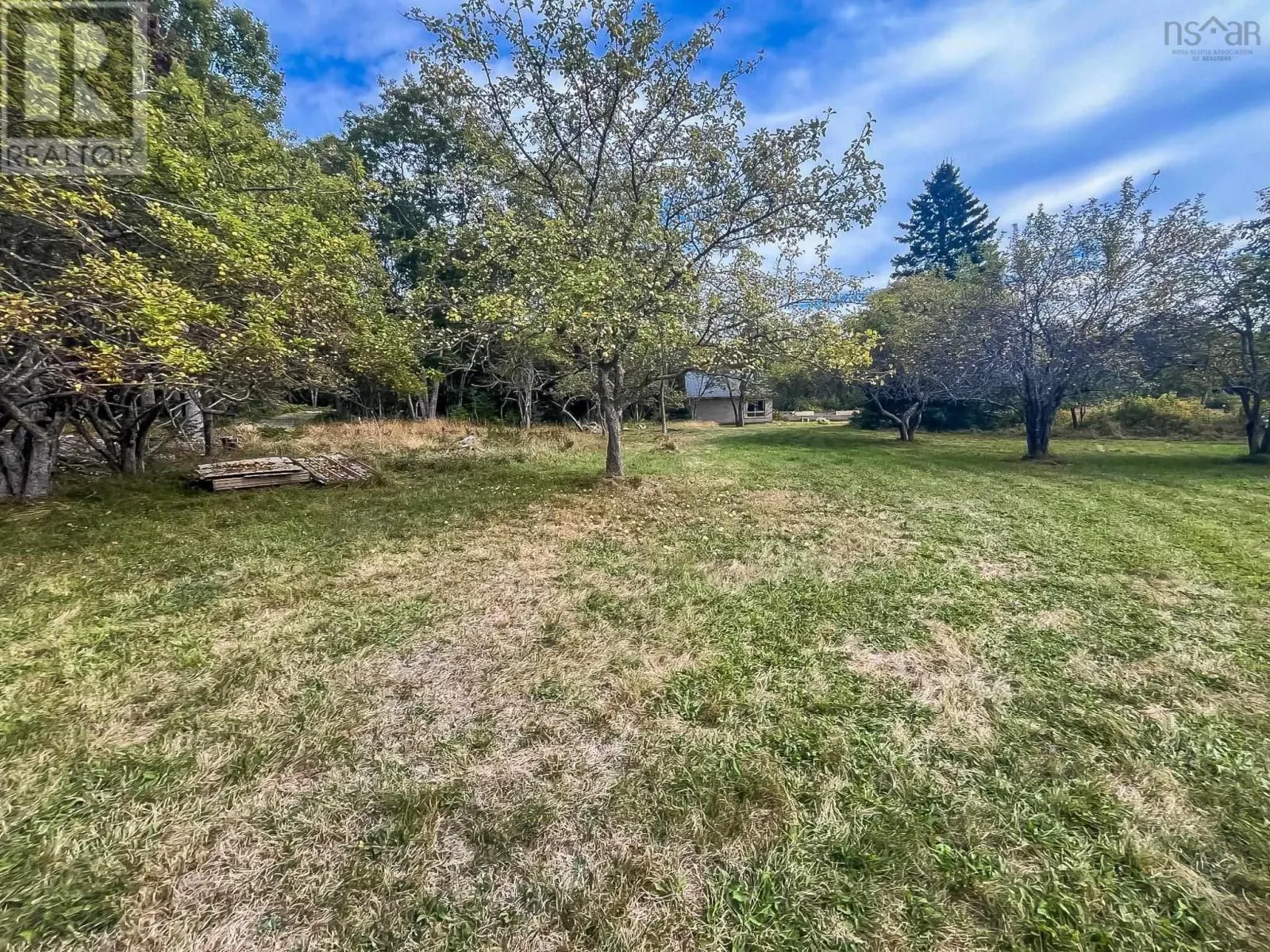 9067 Highway 331