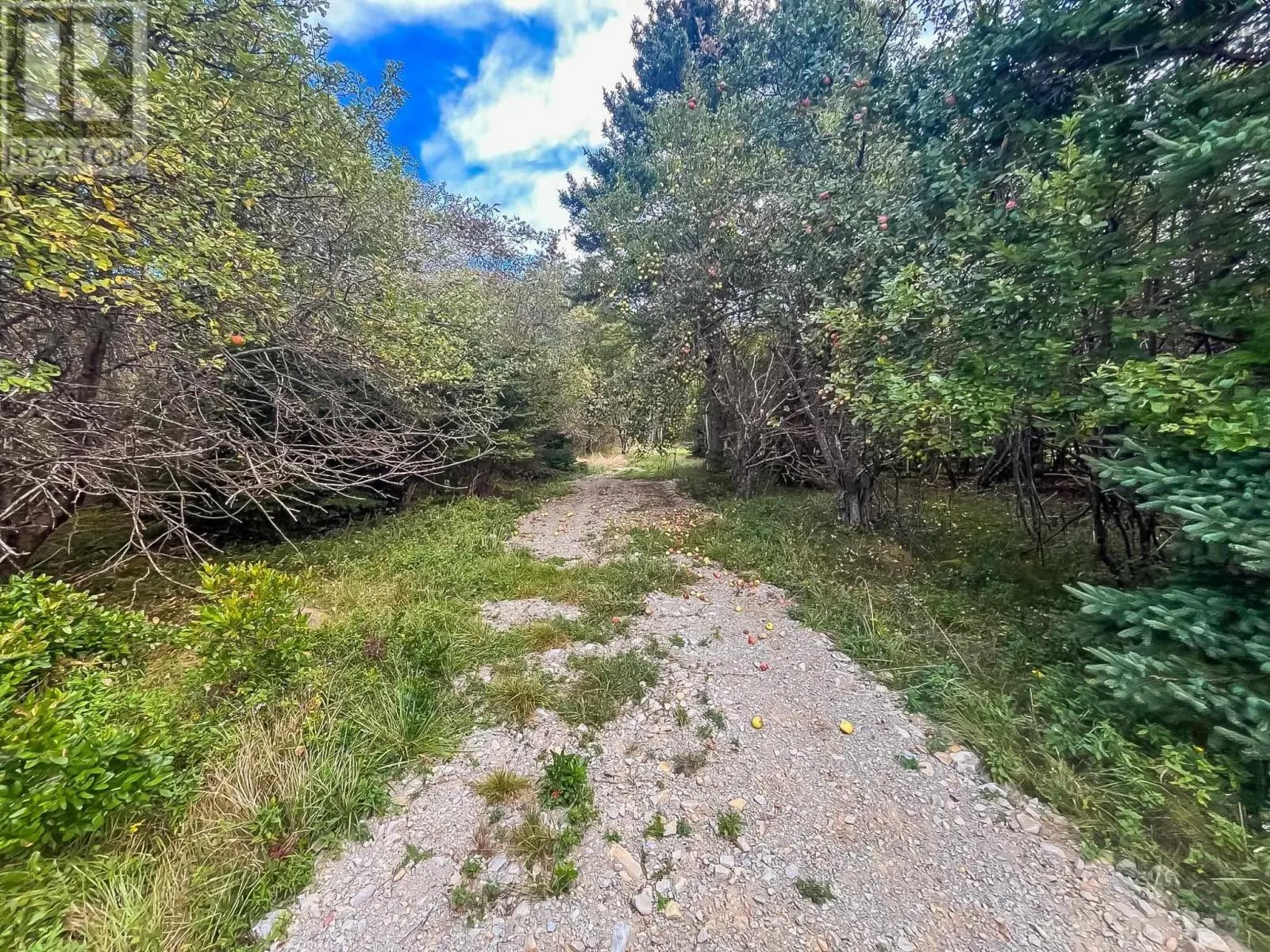 9067 Highway 331