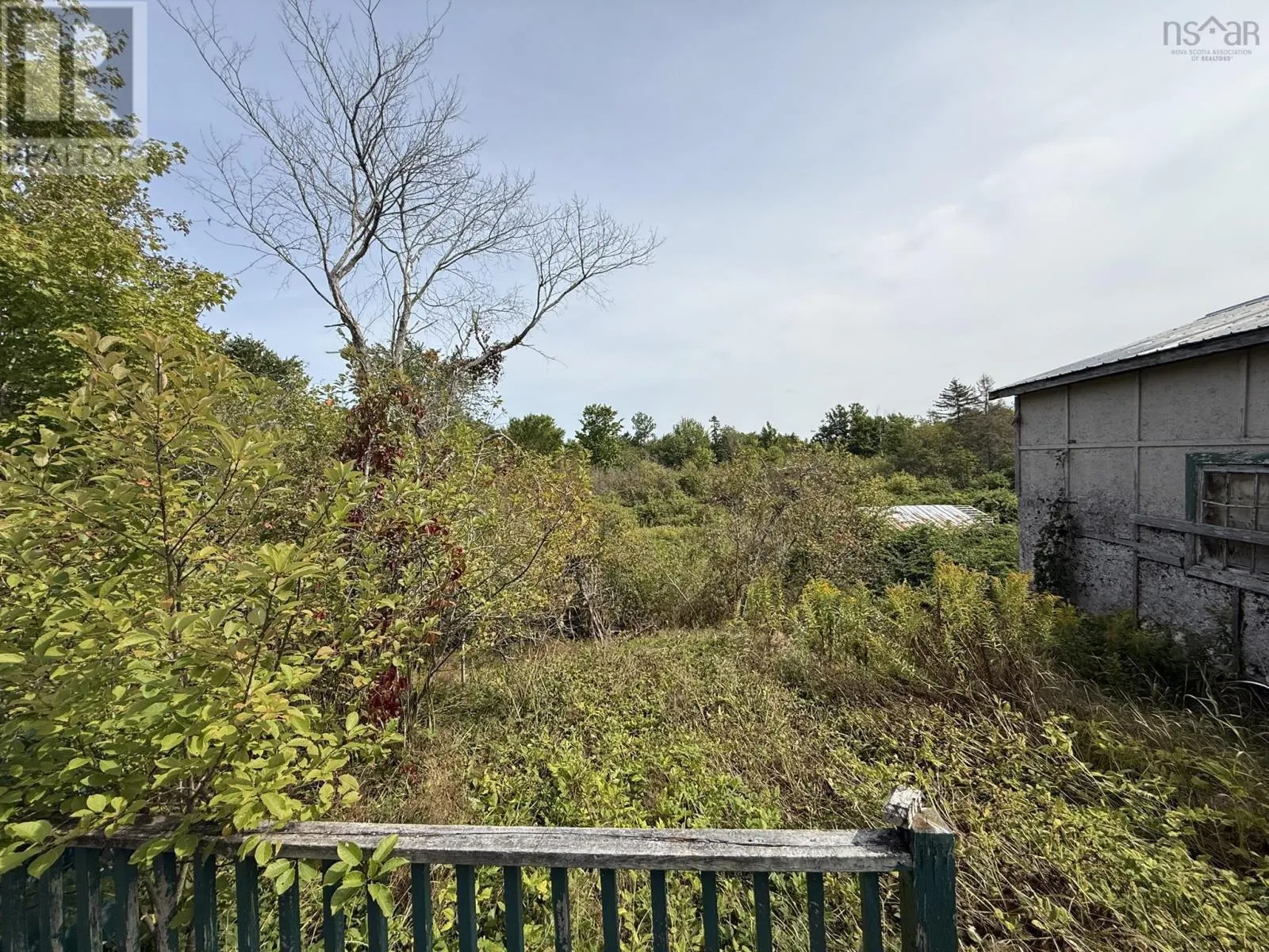 1174 BELMONT Road
