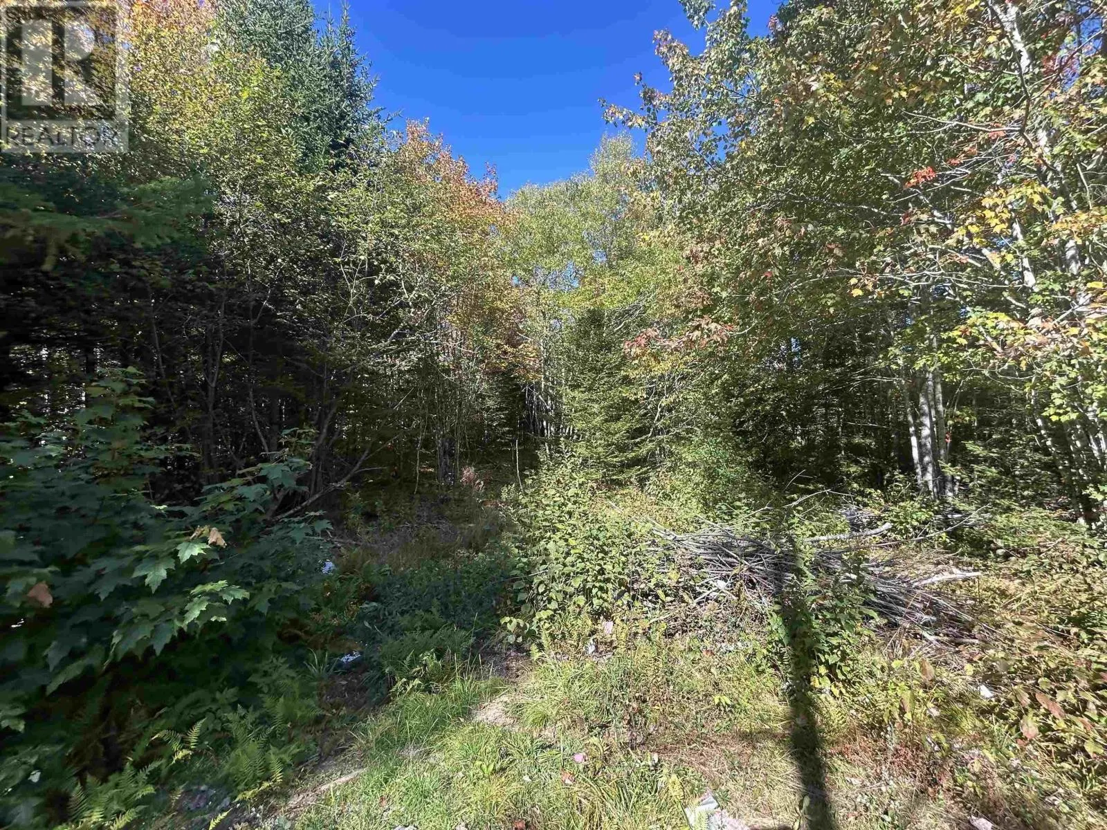 Lot 3 Caribou Road