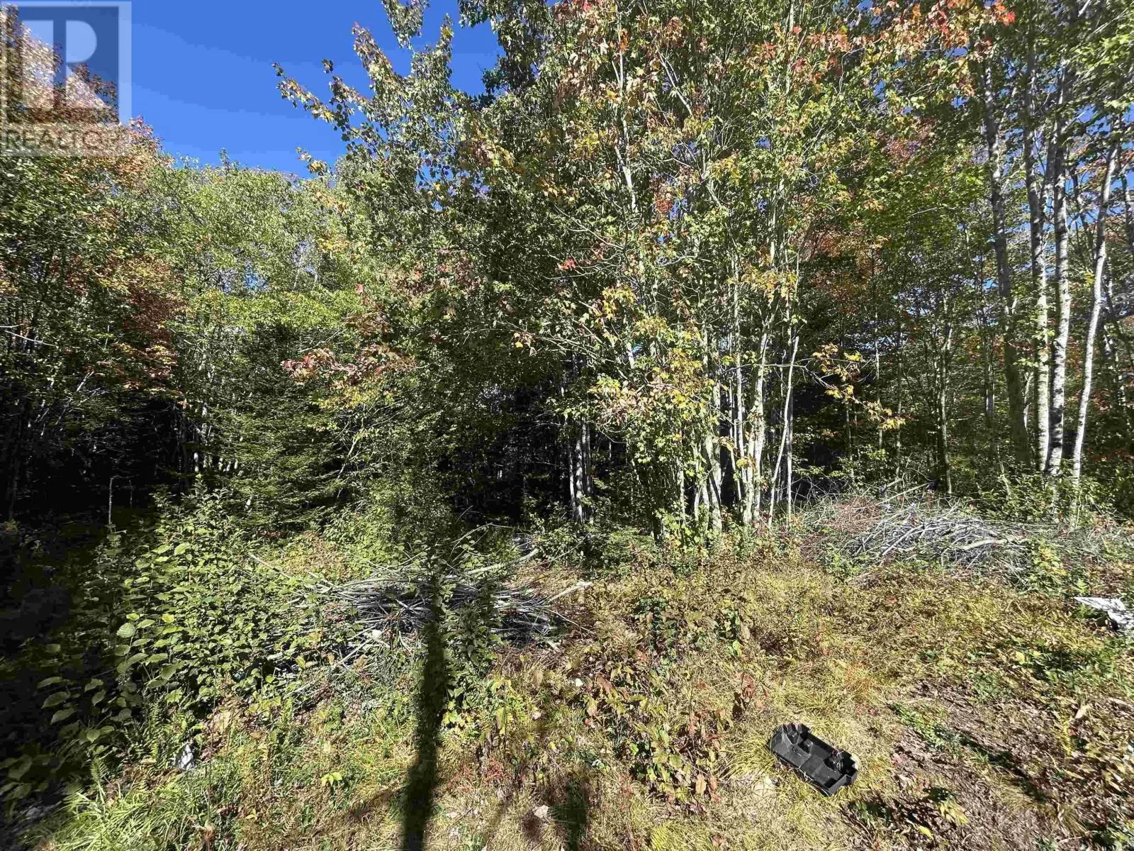 Lot 3 Caribou Road
