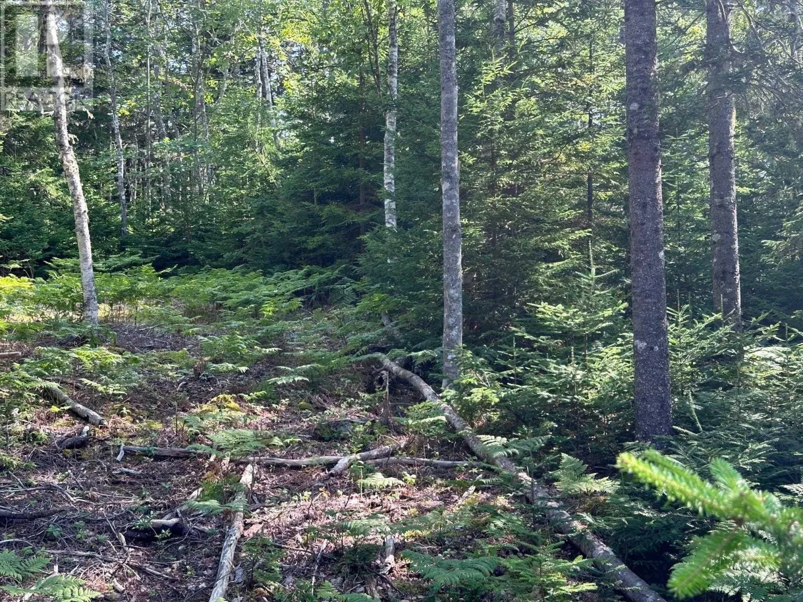 Lot 9 Fire Cove Road