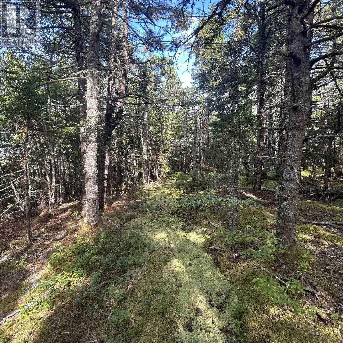 Lot 6-F-A Middle Road