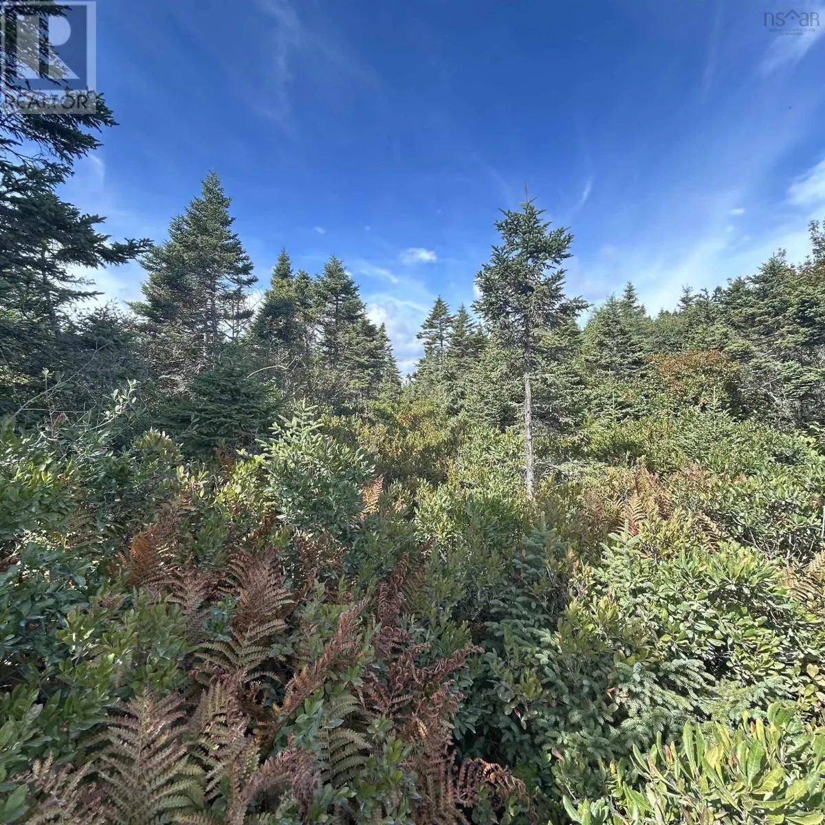 Lot 6-F-A Middle Road